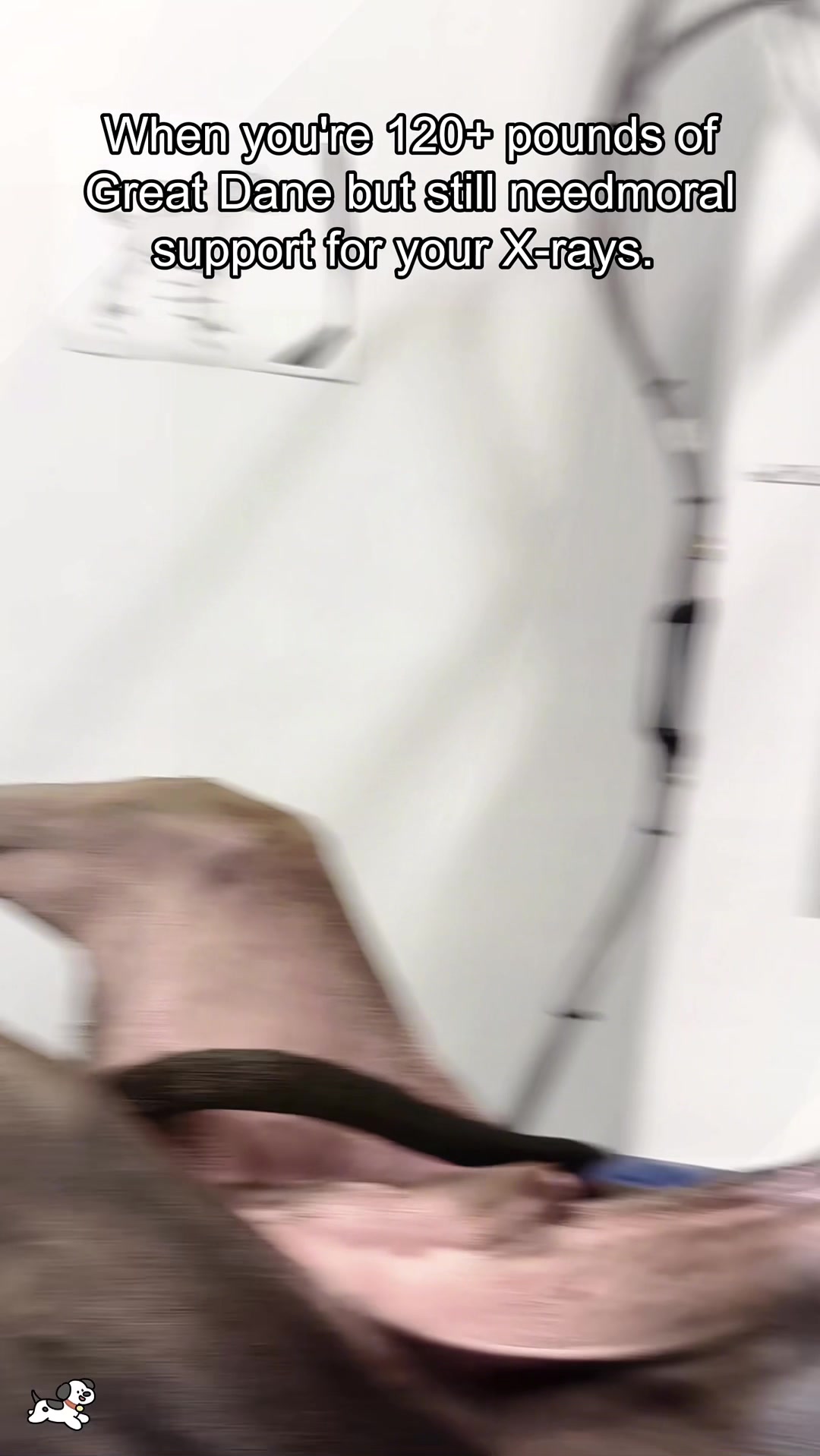 @SneakyFails