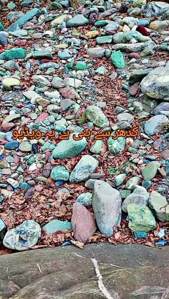 @انجان لڑکی