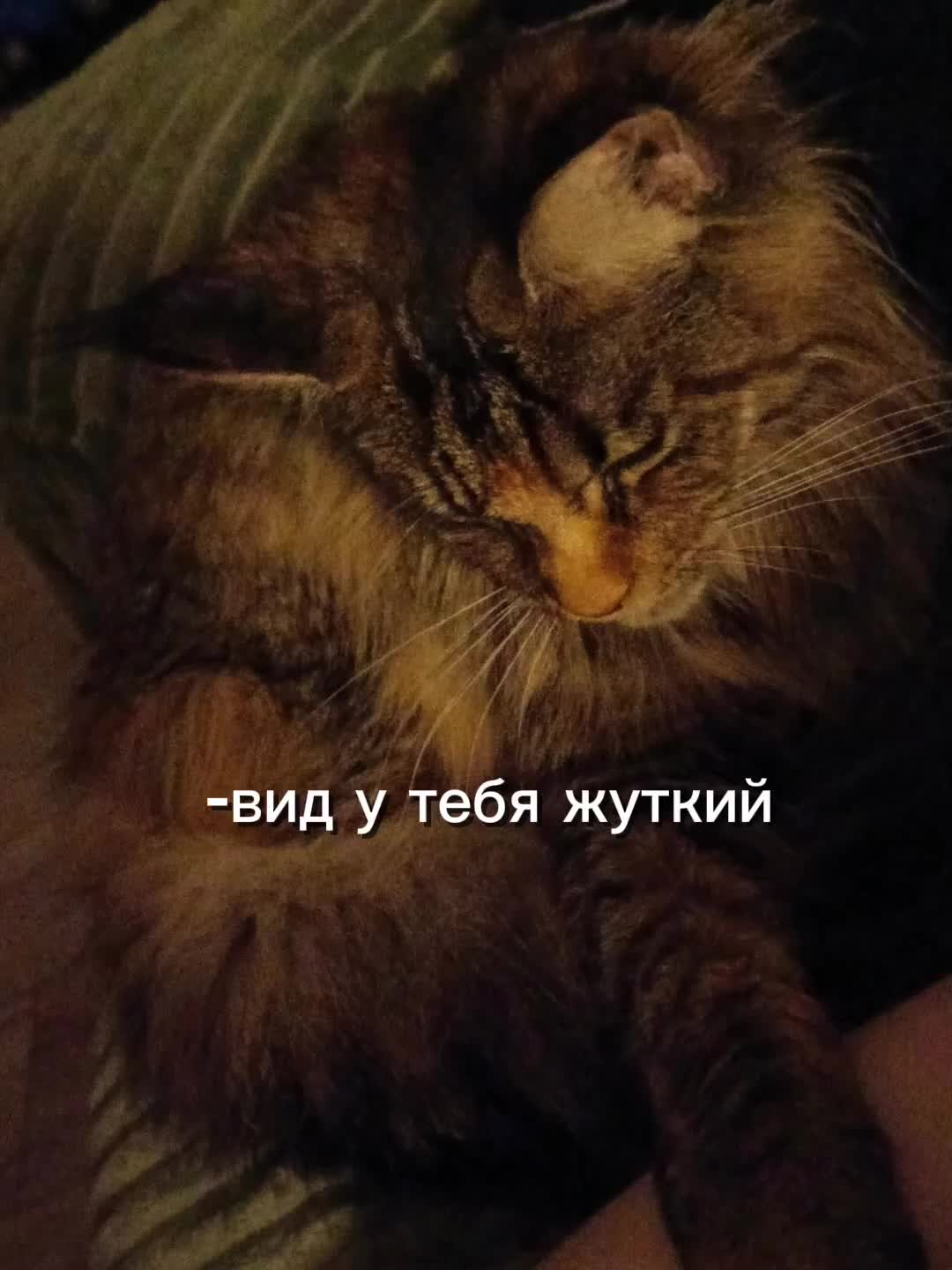 @марципан