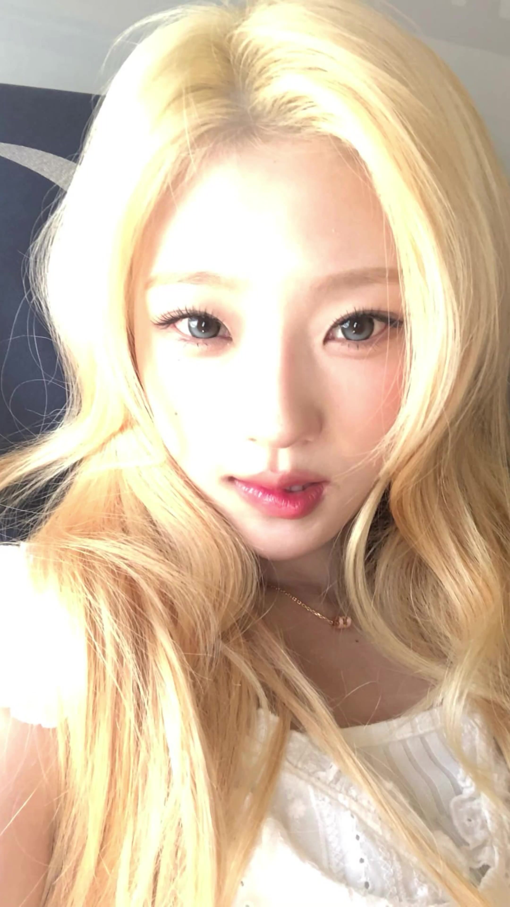 @zh