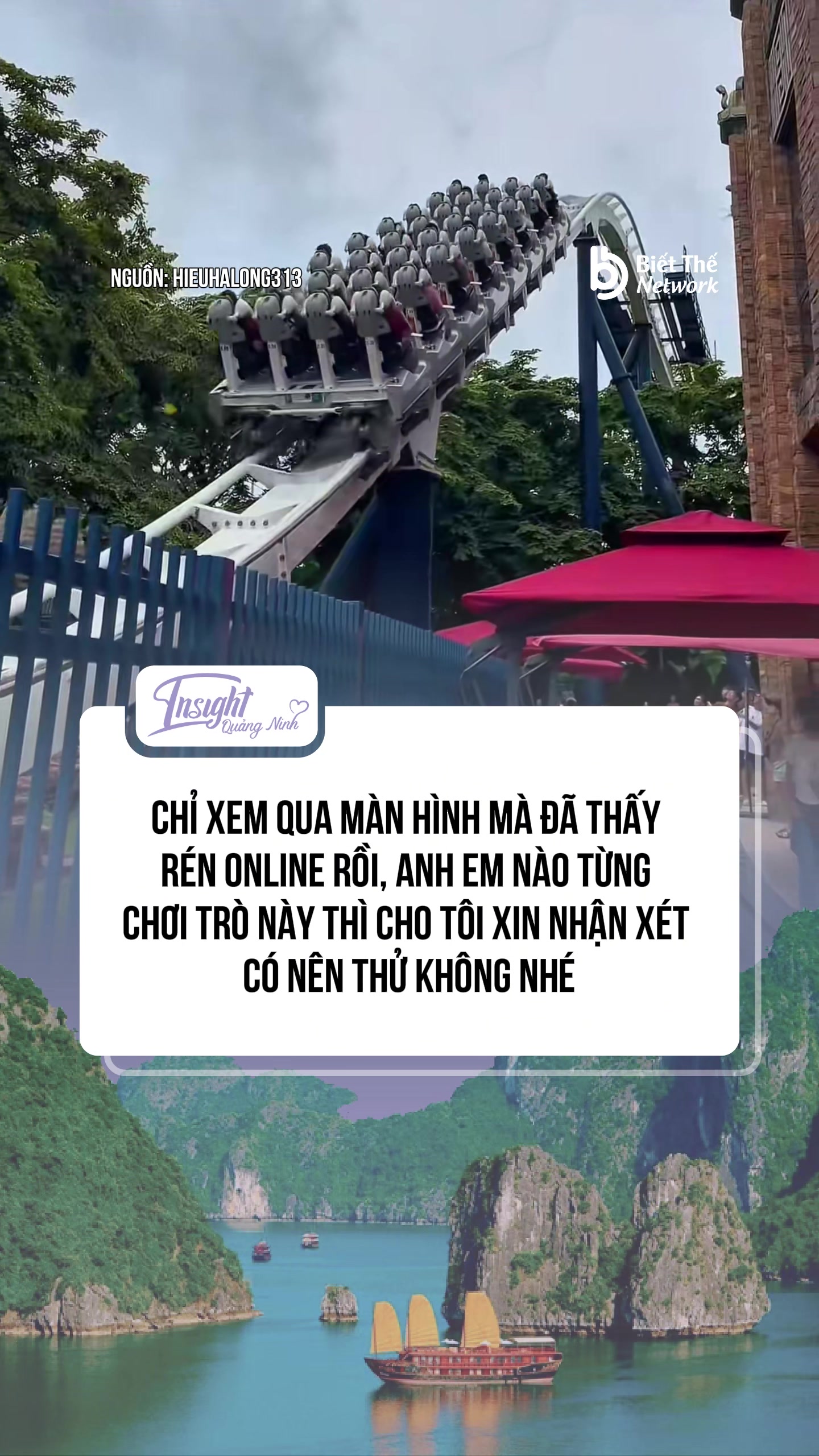 @Insight Quảng Ninh