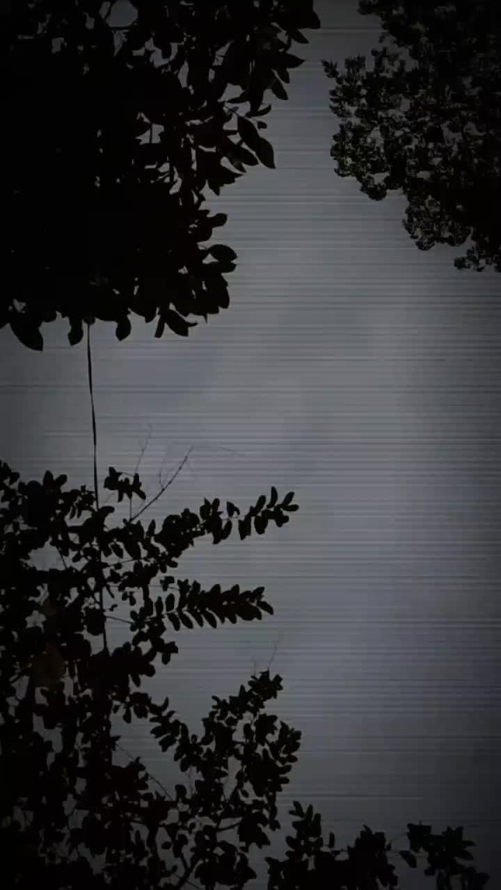 @🦋🥀প্রীতি রানী বর্মন 🥀🦋