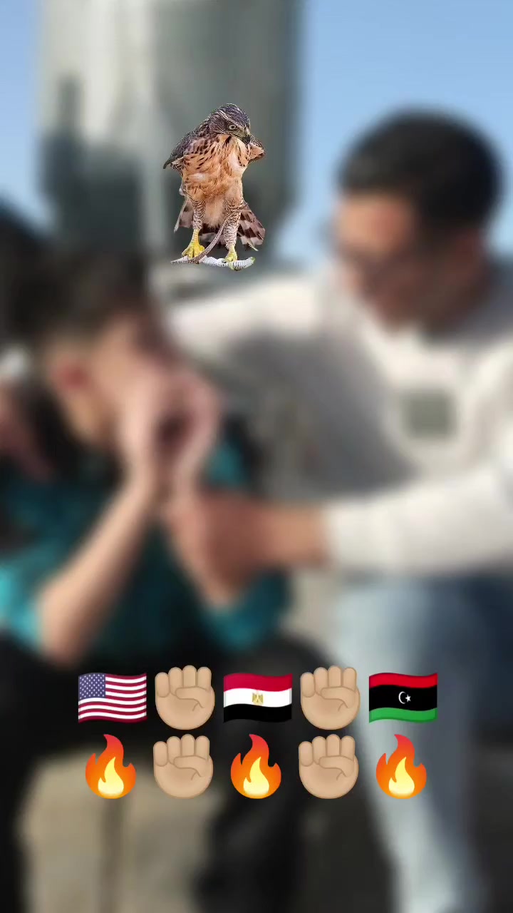 @الاستشاري ابراهيم محمد سلامة