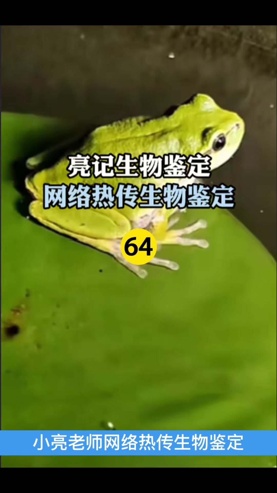 @gonghonglei