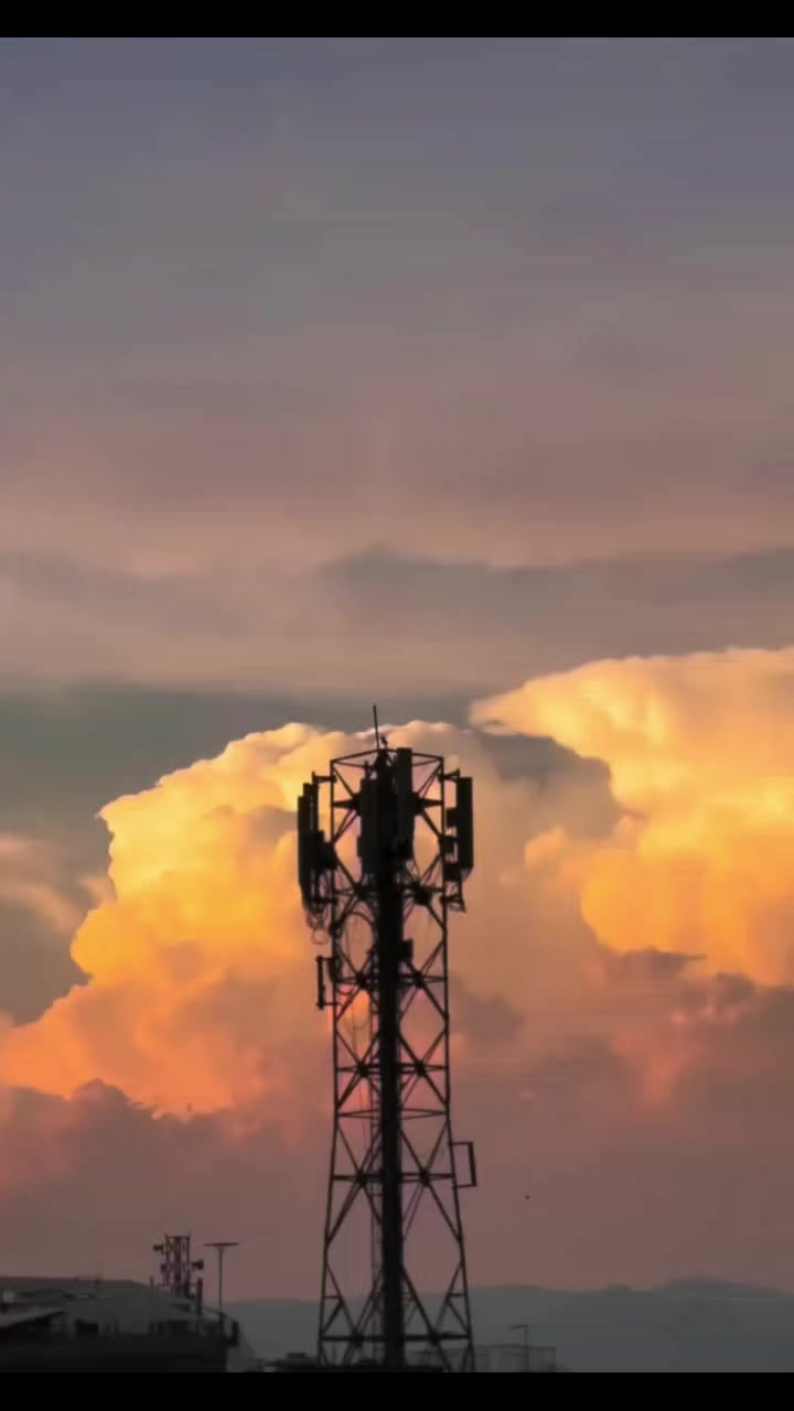 @🦢