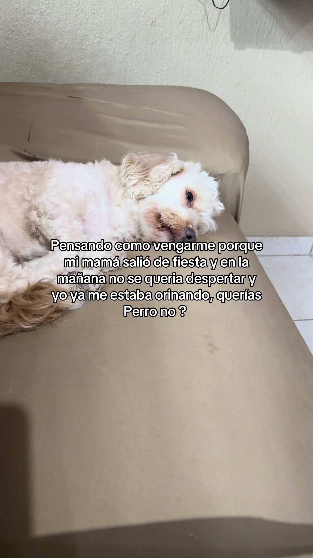 @Bailey velazquez G