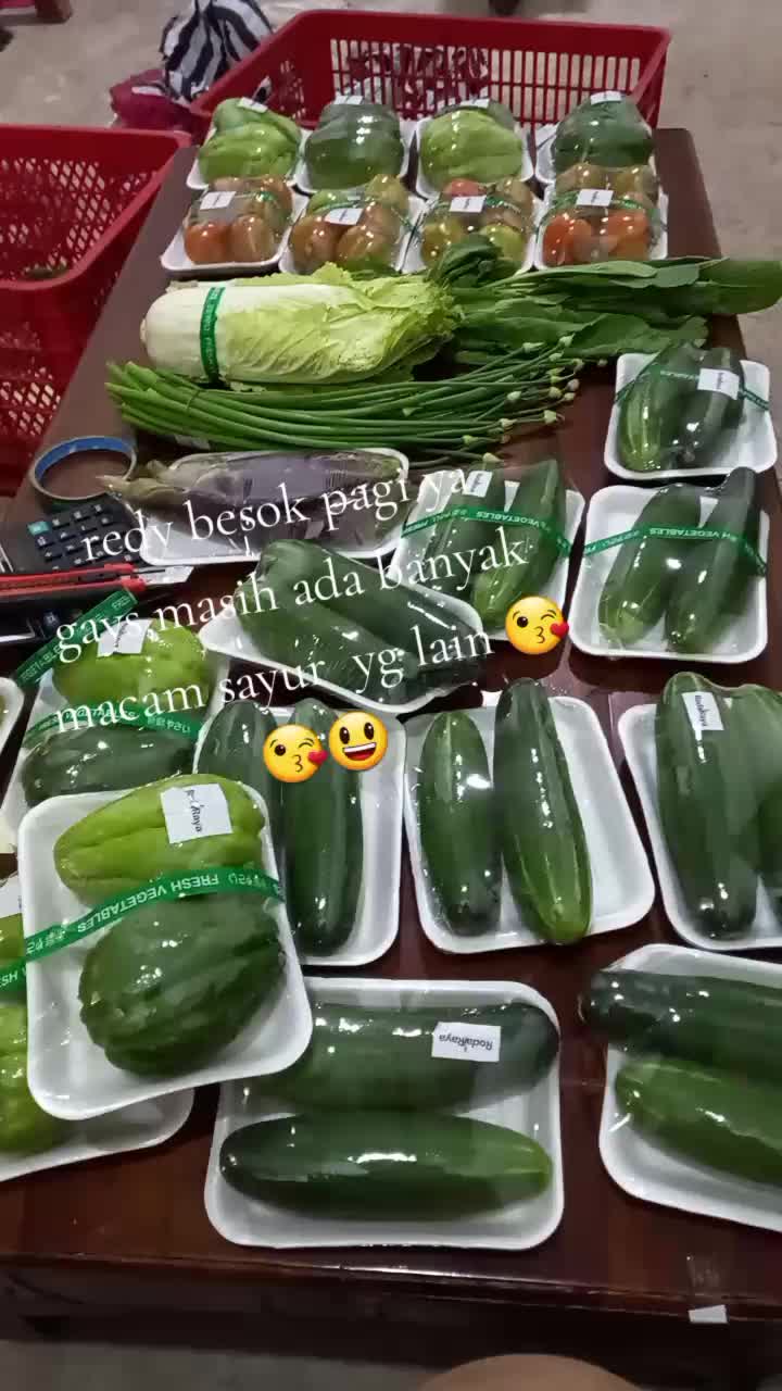 @user3336135547521