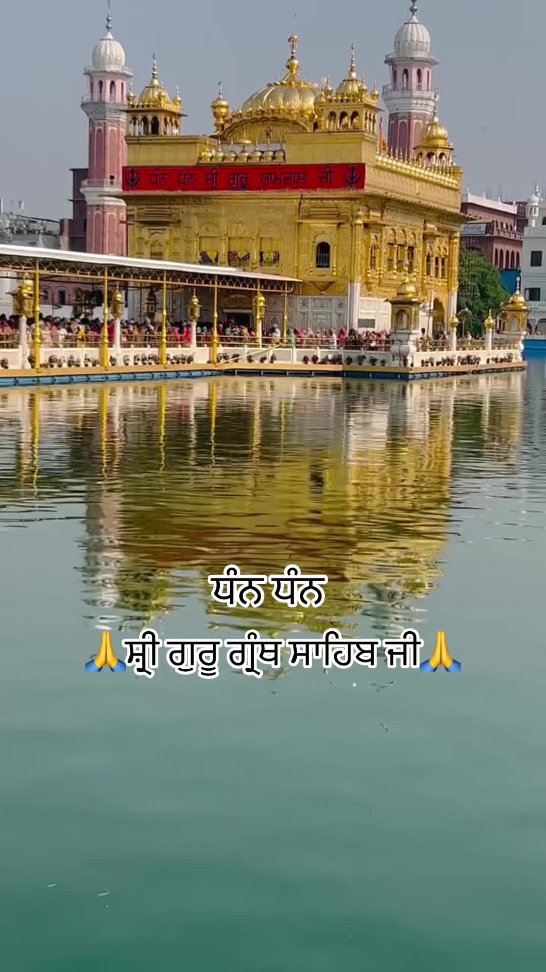 @sharanjitcheema0