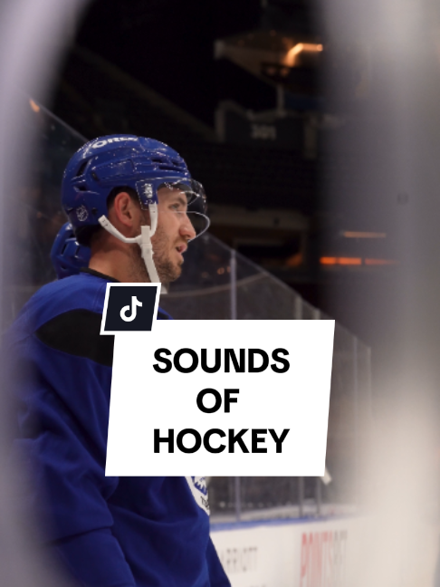 @Toronto Maple Leafs