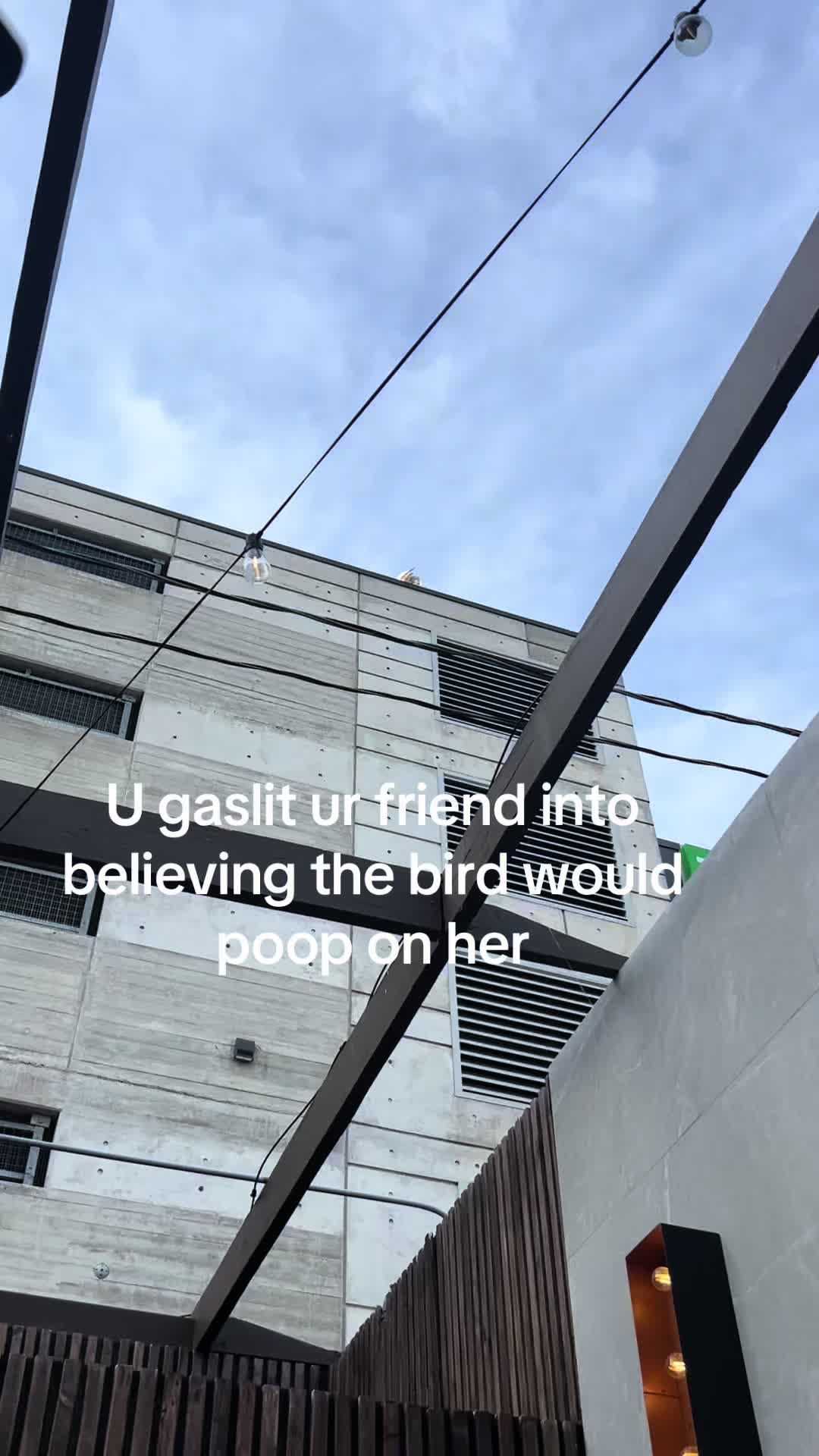 @moonman7777
