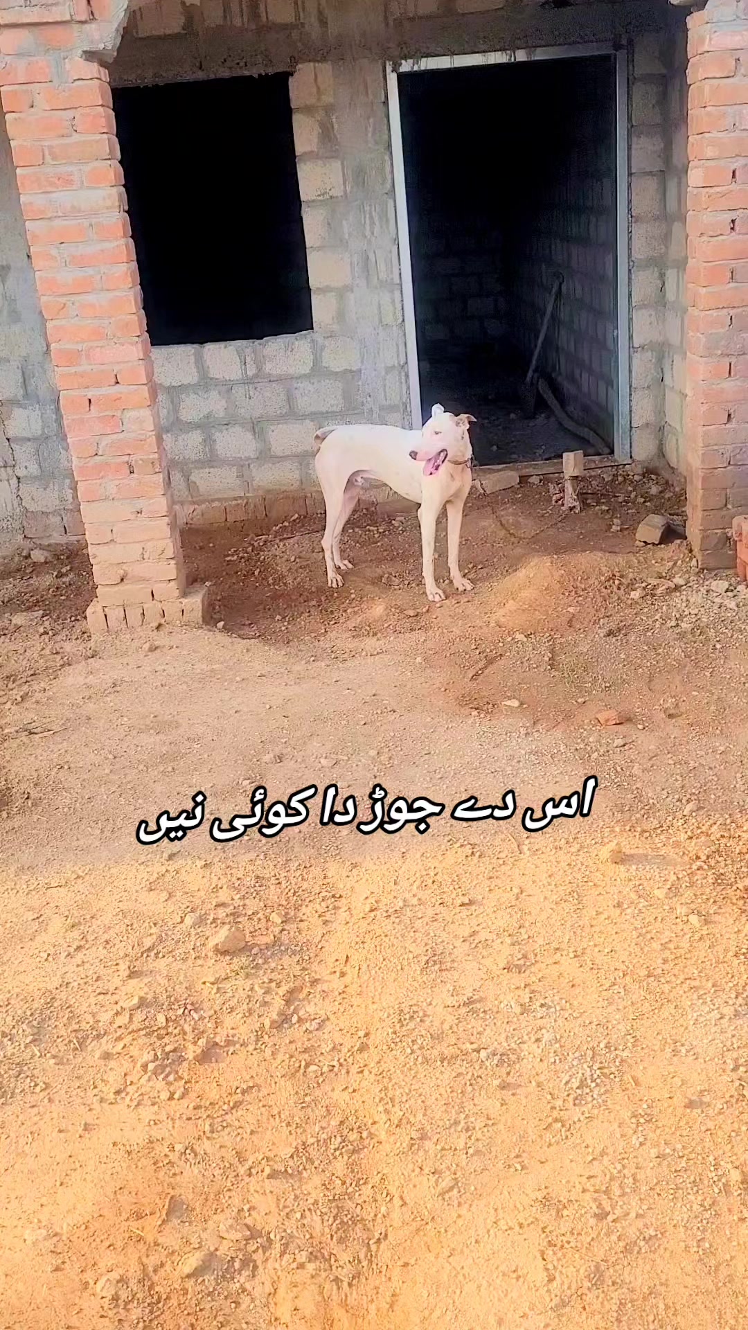 @⚜️ABDULLAH⚜️
