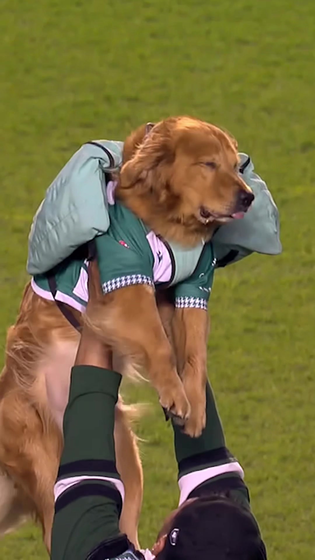 @RugbyPass