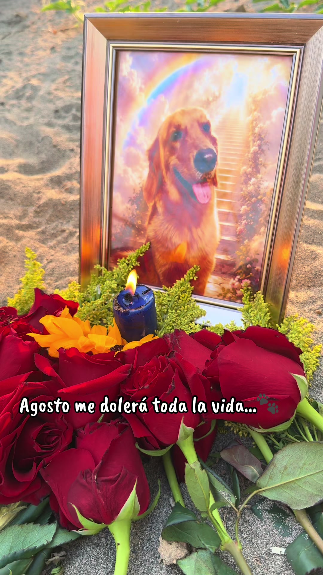 @Sory Ruiz