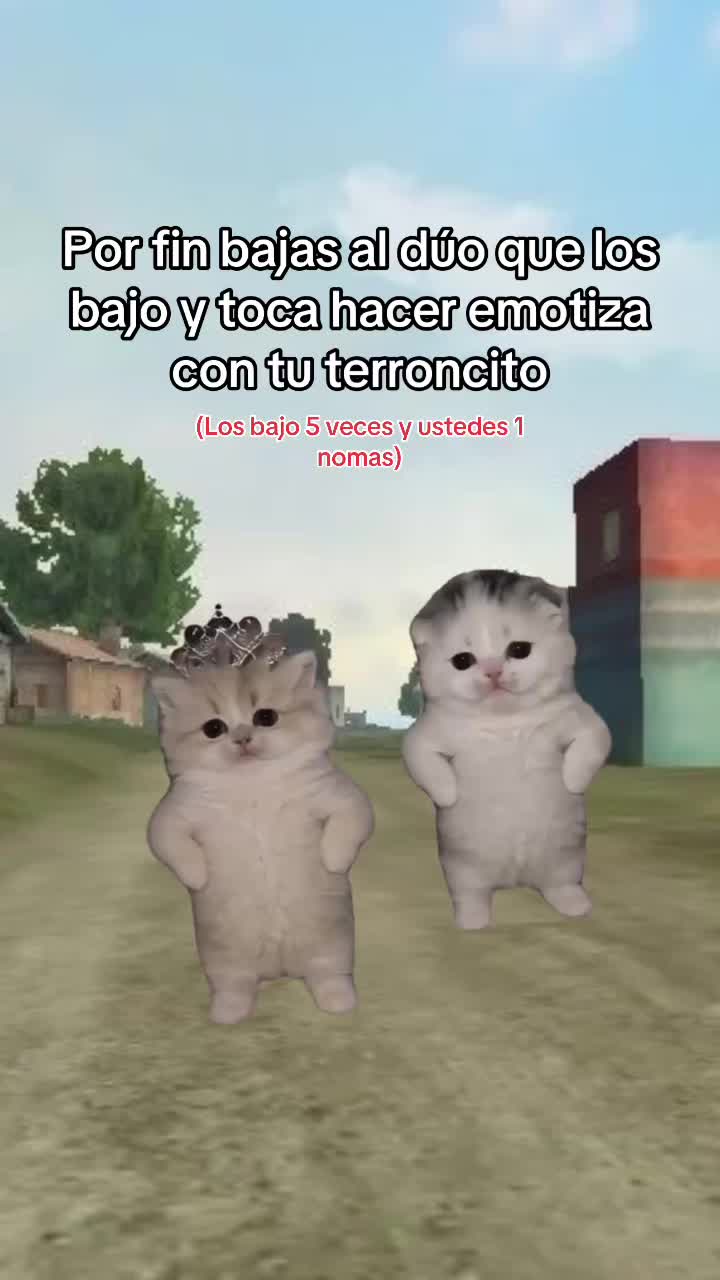 @JuarezZ