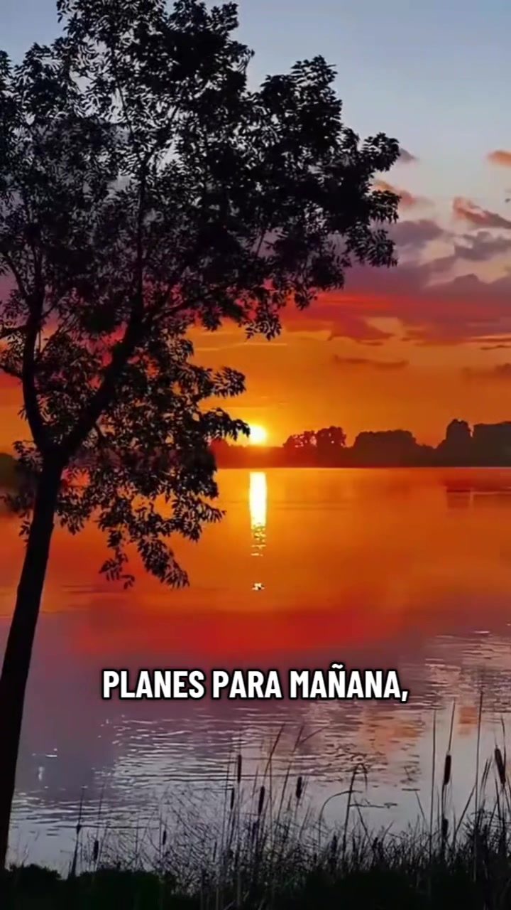 @Evelio