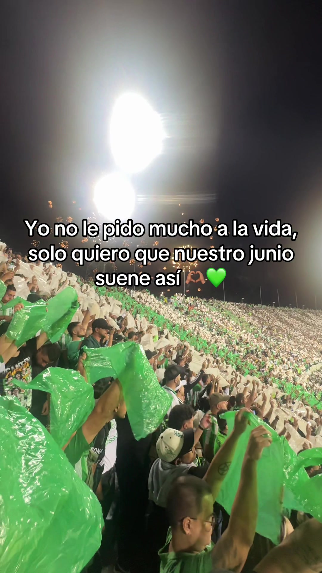 @Sariscard