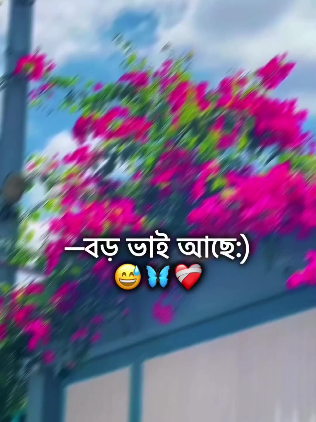 @🌚🐸>জাতির_বউ'মা<🐸🌚