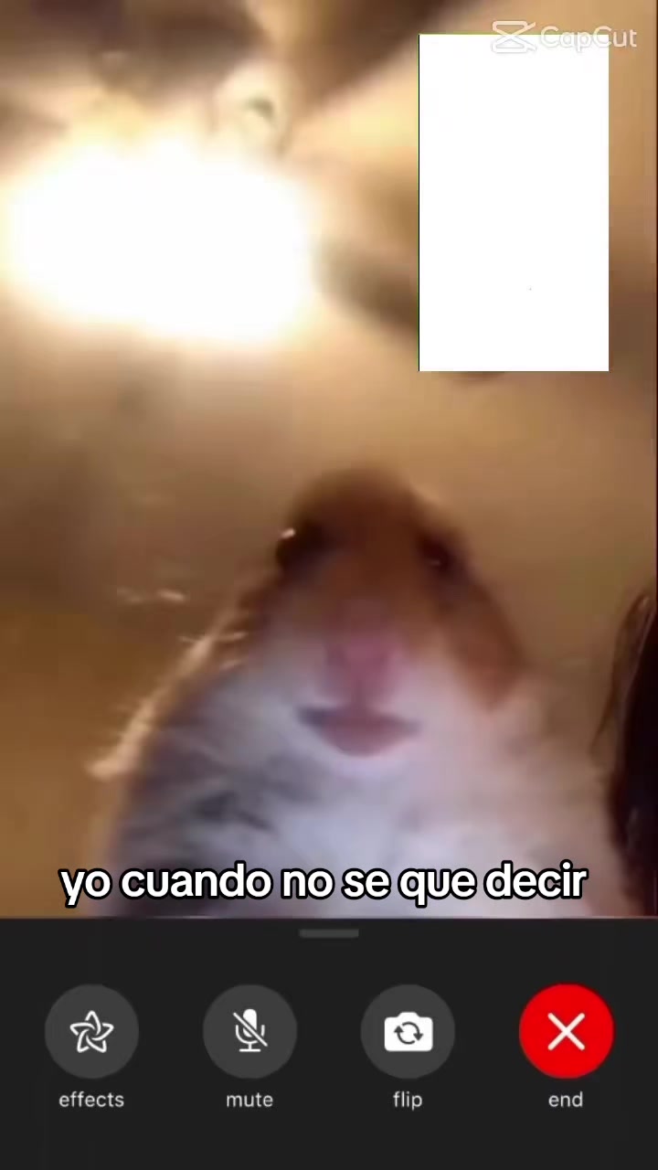 @Soy Nahimi🧸🩷