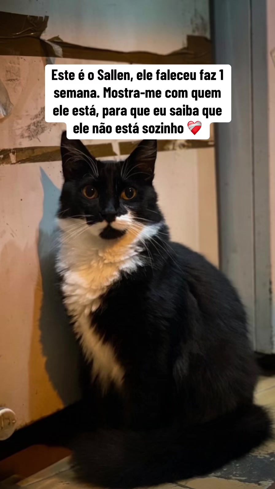 @Ludmila Fernandes