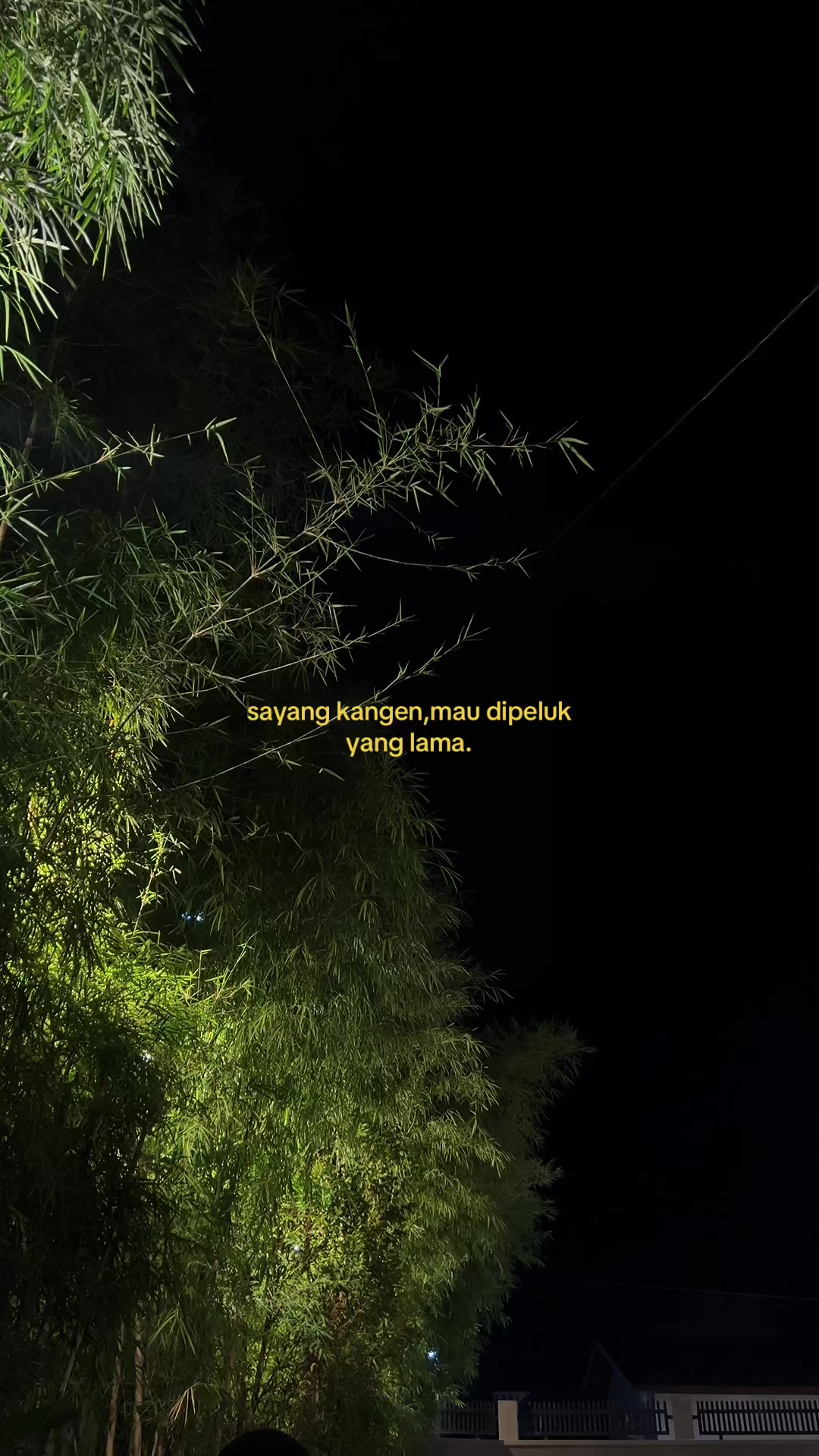 @Jantung hati🫀