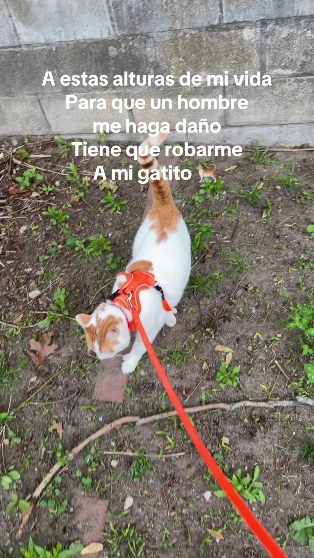 @Hanna 🐈 & Mayrie 👱&zwj;♀️