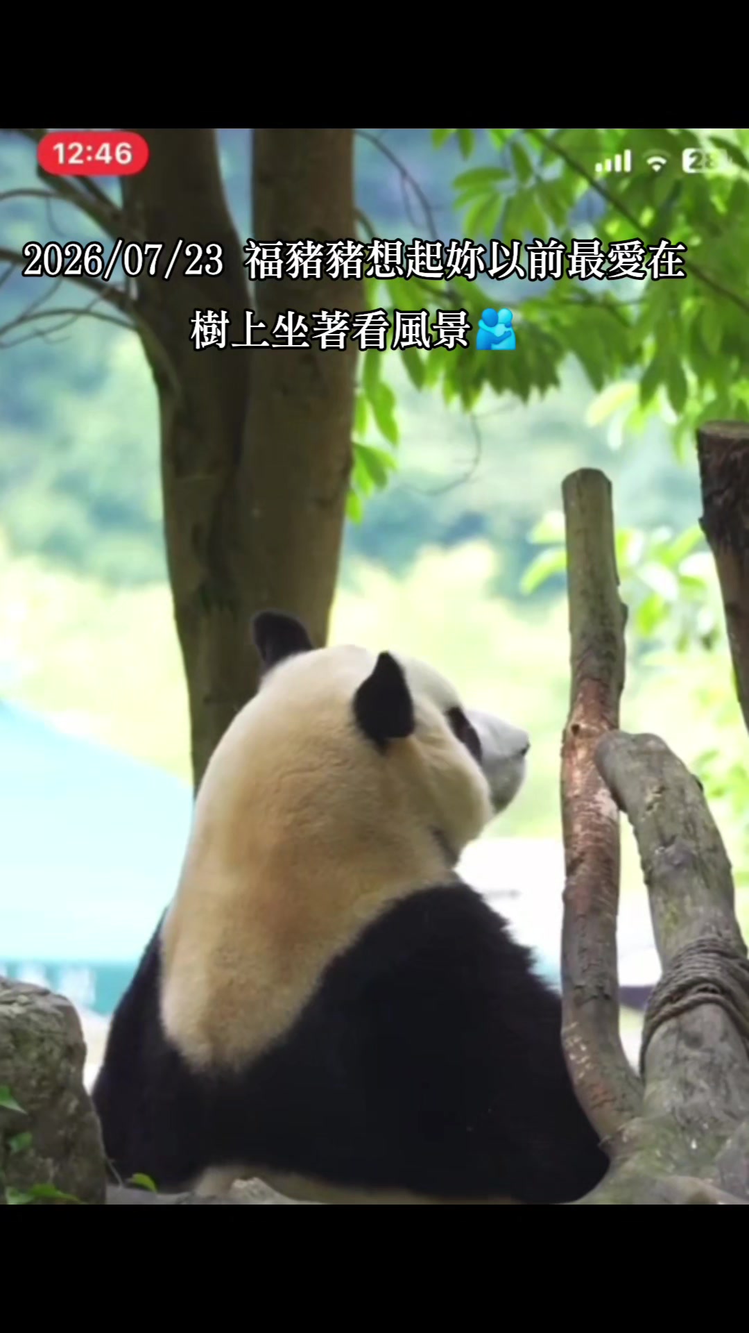 @福寶需要愛的抱抱