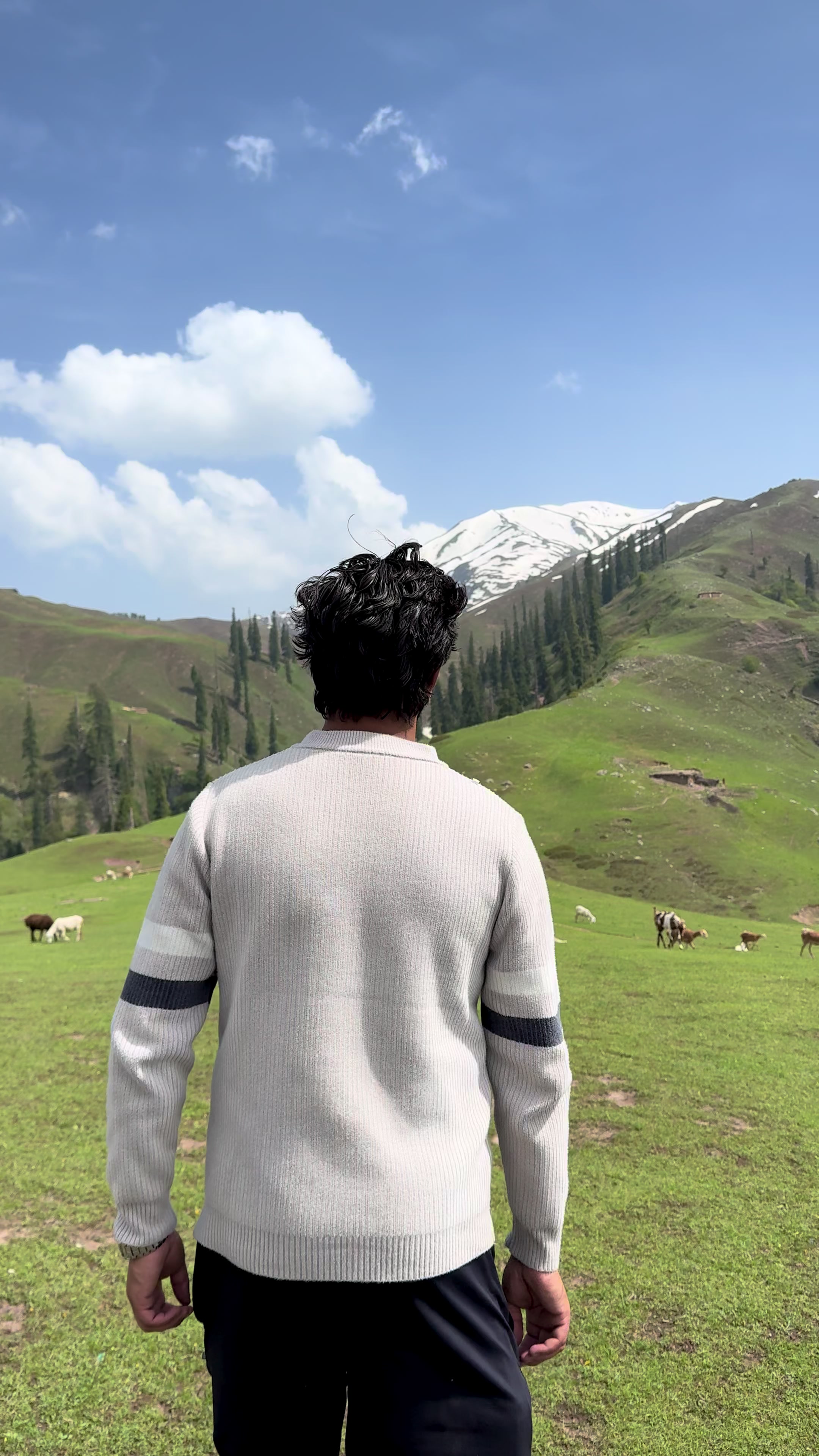 @Shogran Vibes