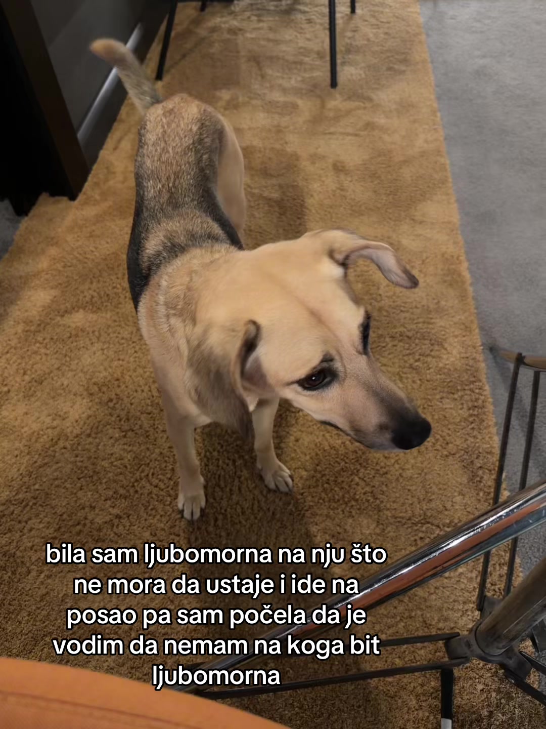 @nijedostupna
