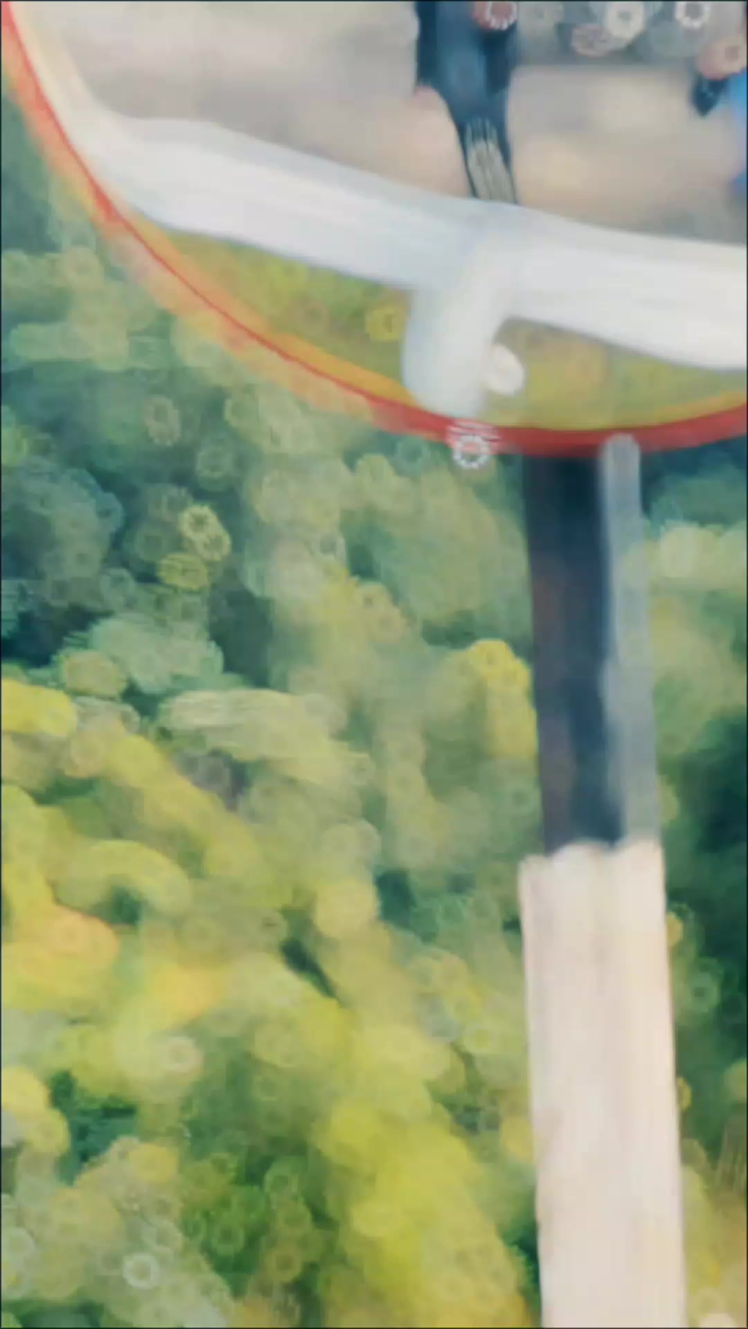@๏ฃฟ๐๐๐ค๐๐๐ง๐ ๐ป๐๐๏ฃฟ