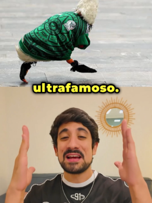 @Javier Cazarez