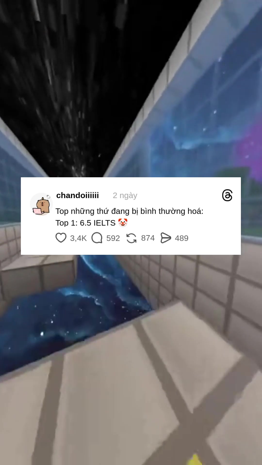 @Học như không học 🦢