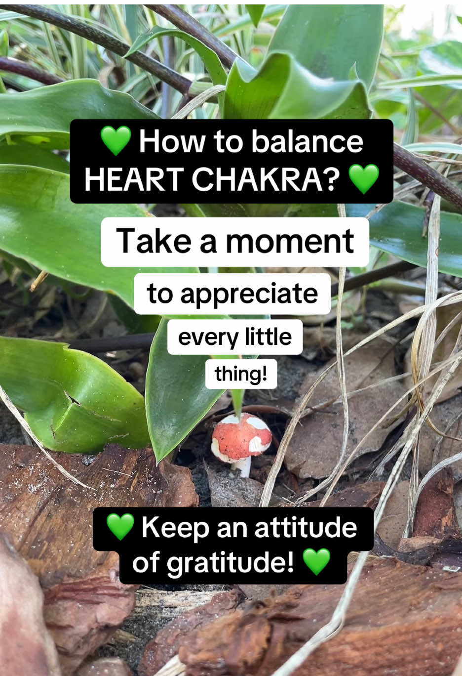 @Peggy | Reiki Master Teacher
