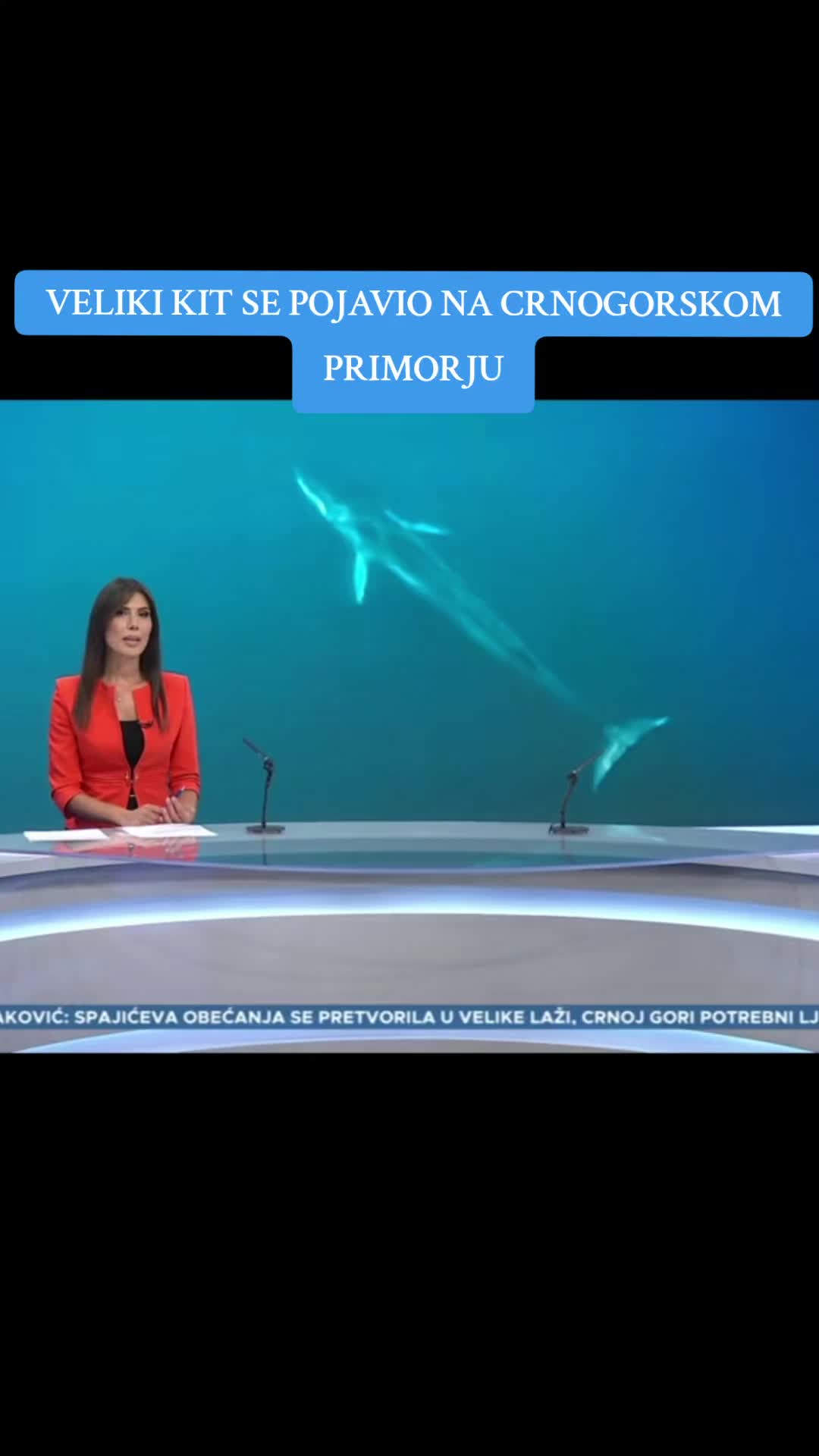 @MNE news