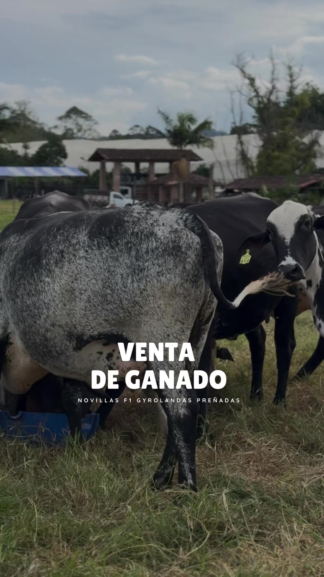 @Rehagronegocios