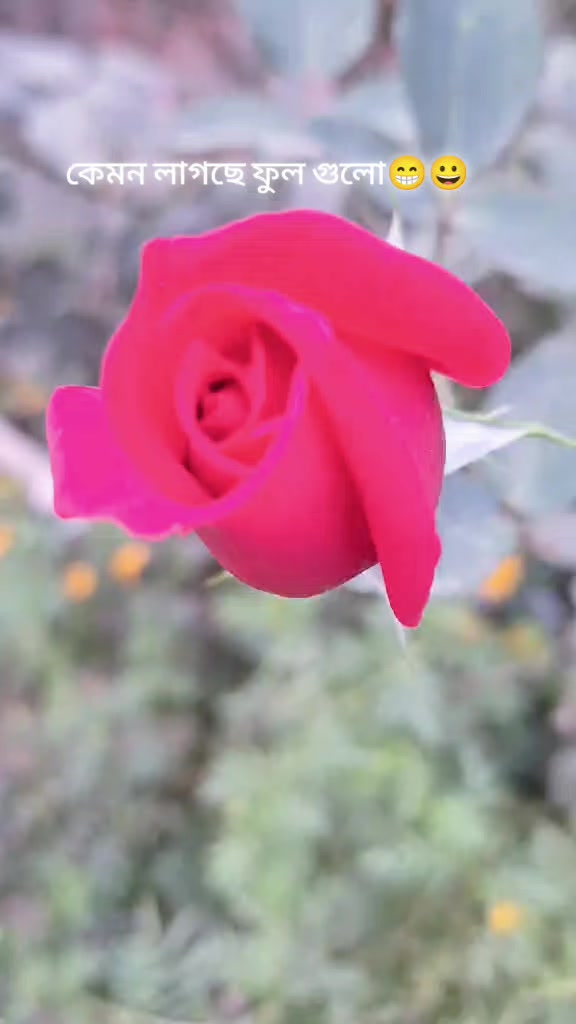 @Disha Bhowmick