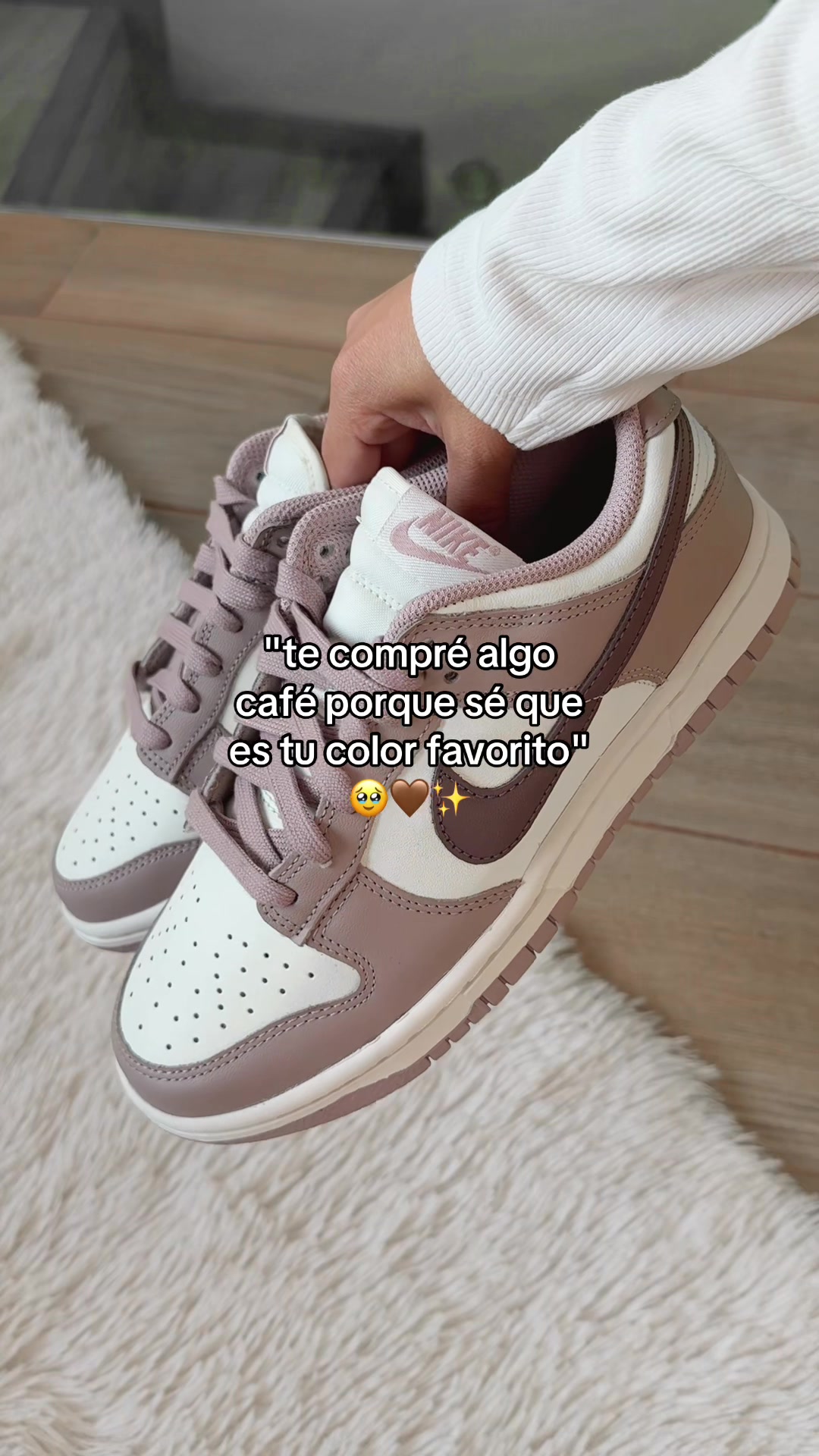 @absolute.mx_
