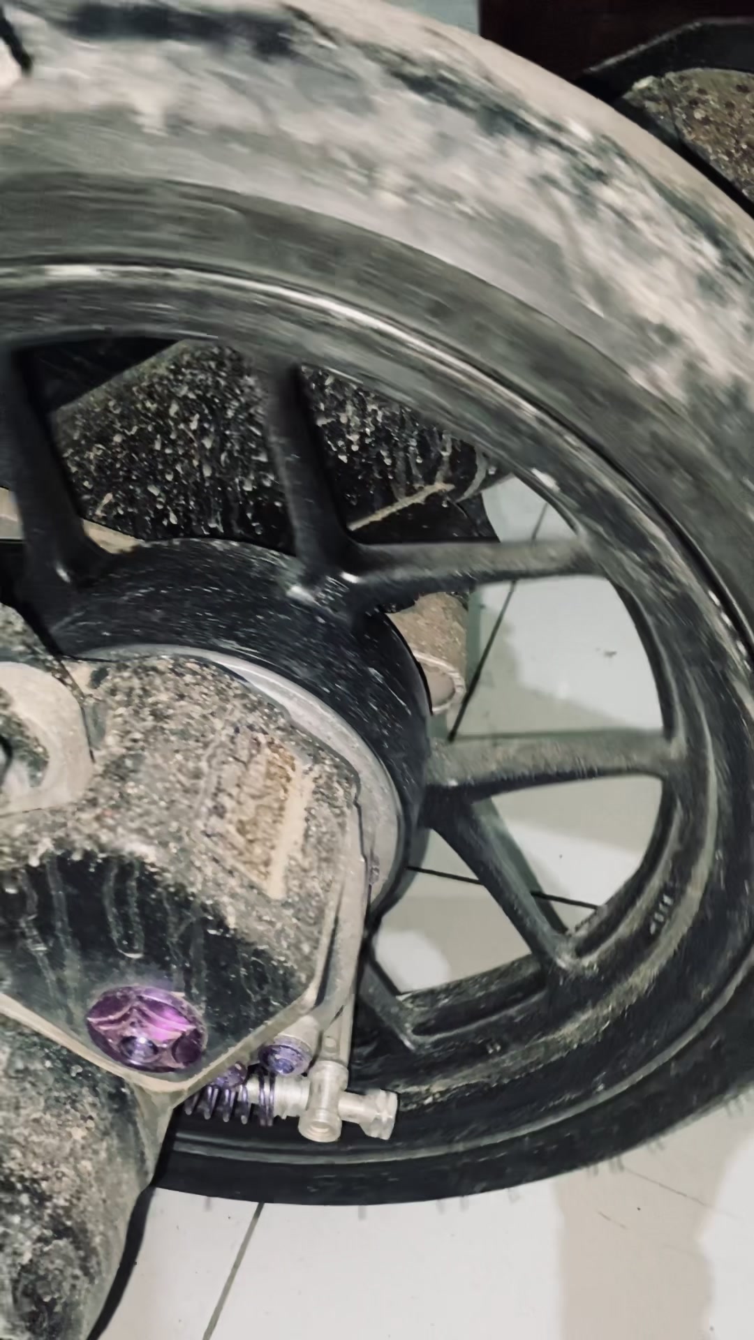 @z74BV_