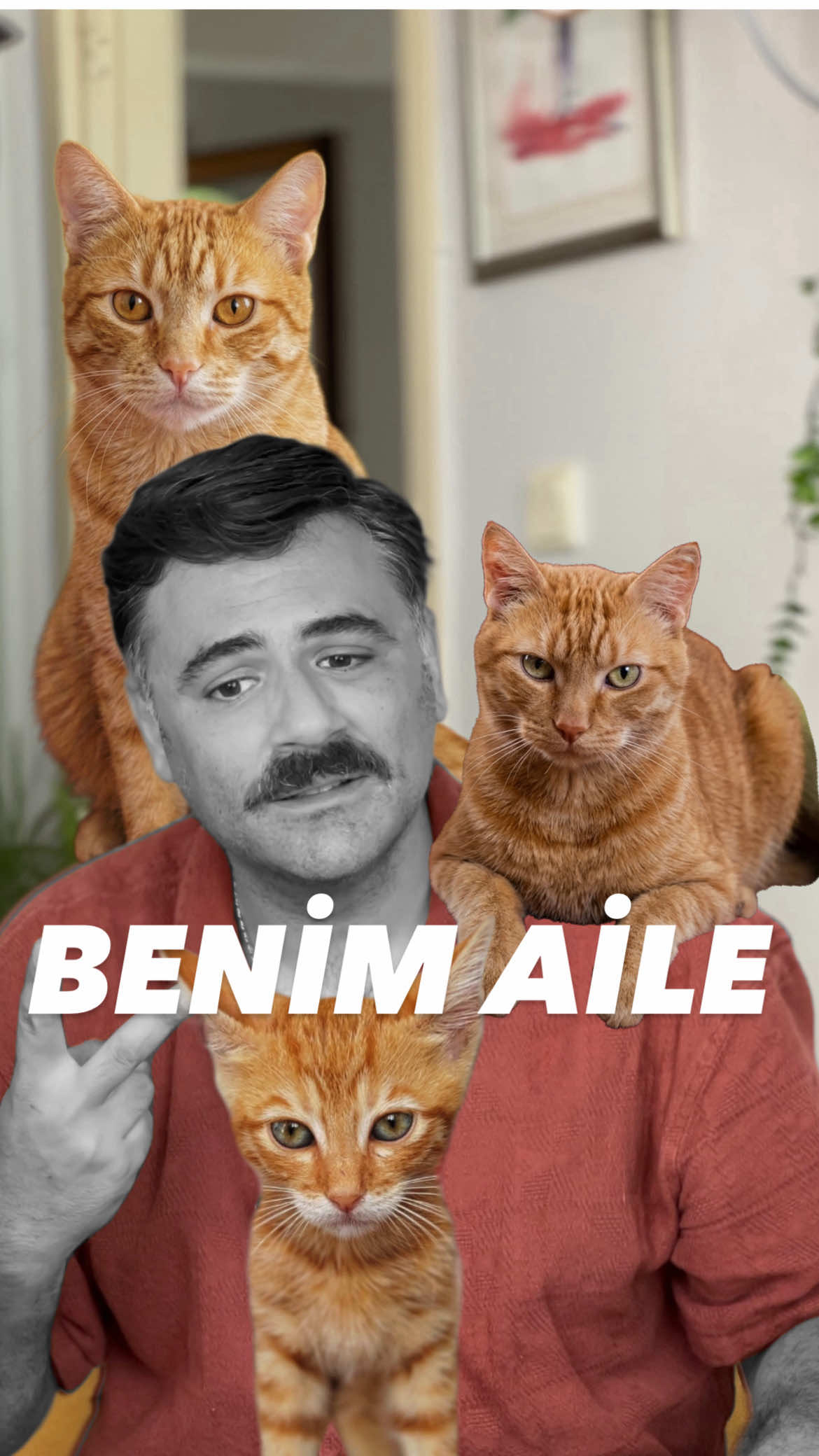 @Emre Şen