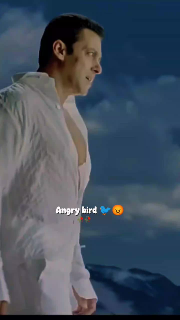 @💫𝖆𝖓𝖌𝖗𝖞 𝖇𝖎𝖗𝖉𝖘💫💥