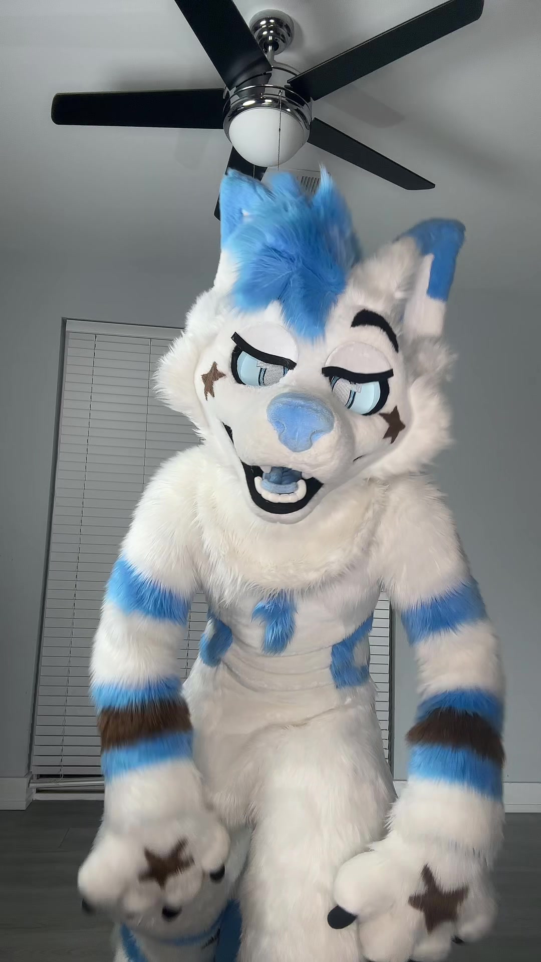 @BlueFoxNova