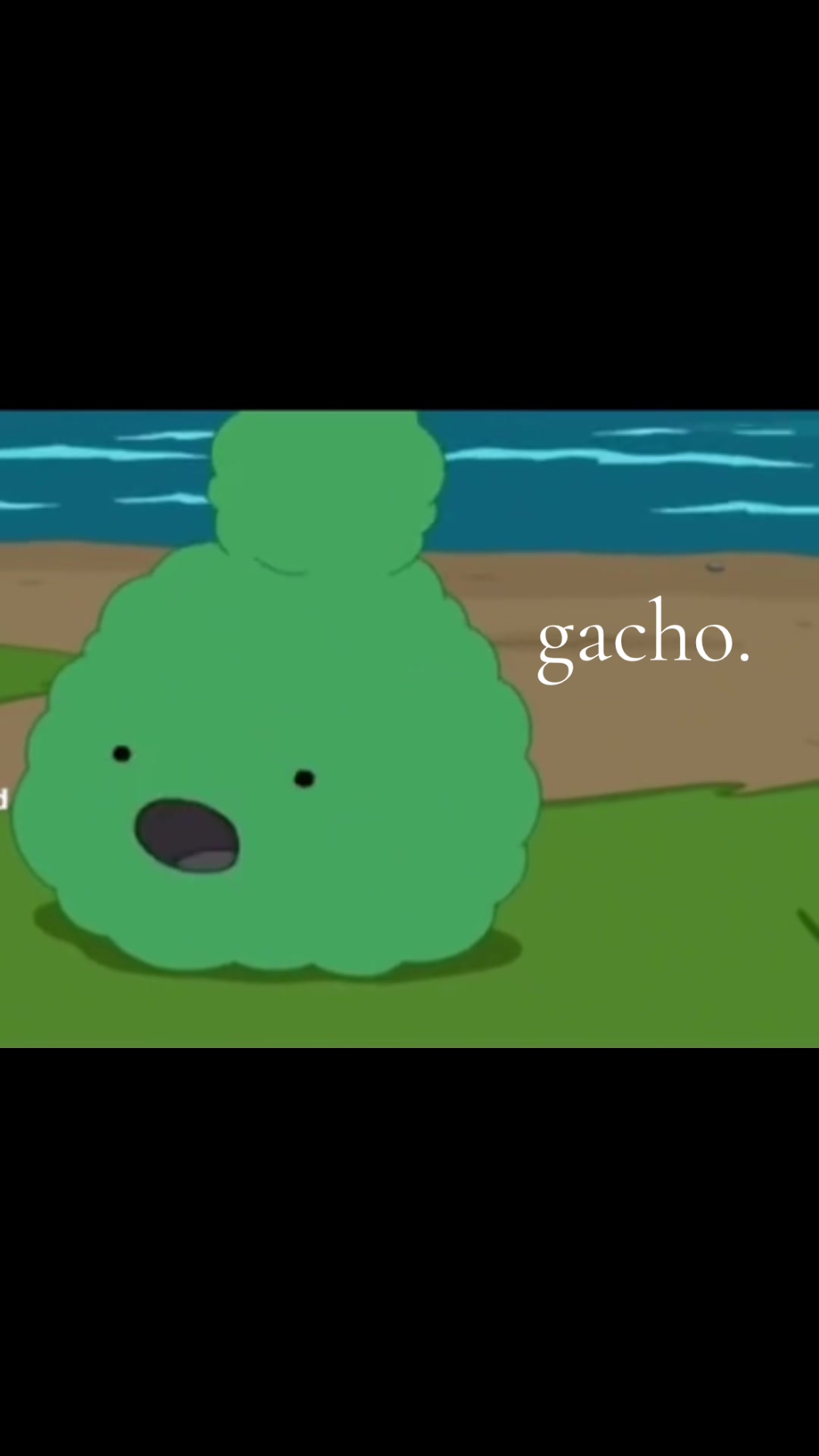 @gacho.