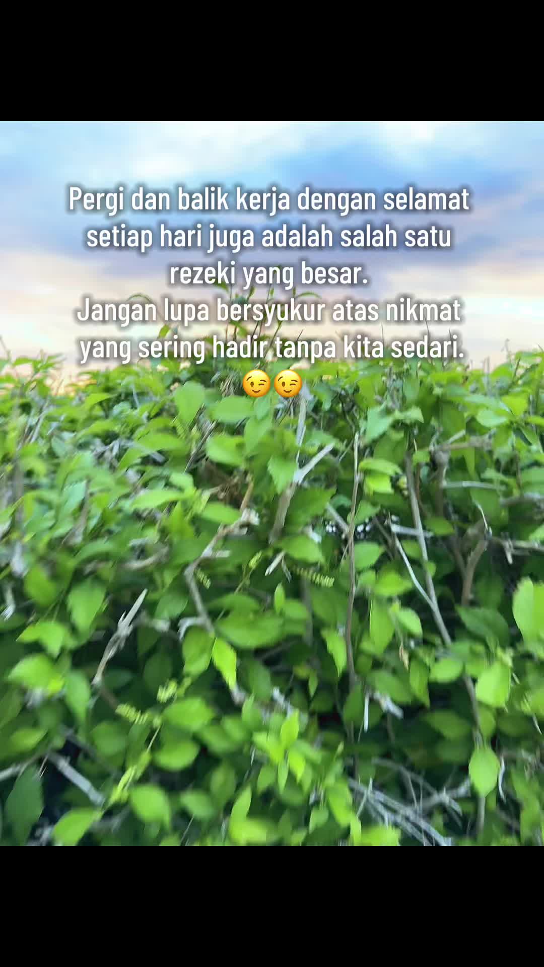 @シ✌︎︎ €~໐ຖēē ຟคຖຖ ✌︎︎シ