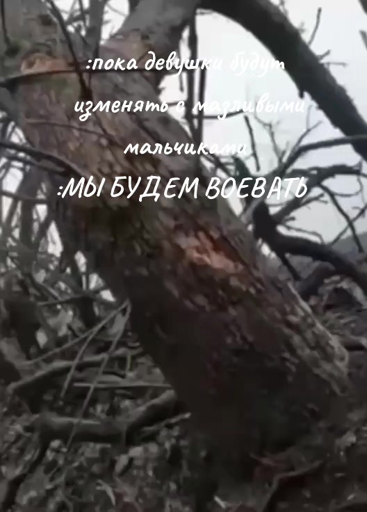 @поZыVноЙ ШУМ 🇷🇺