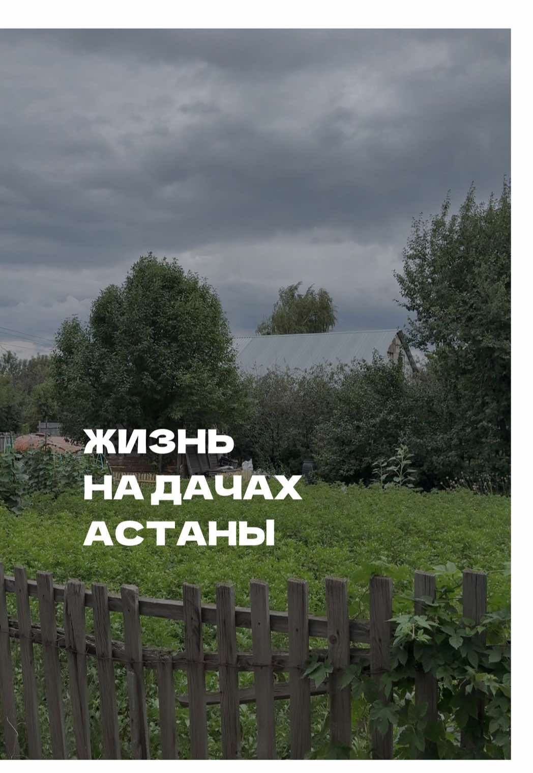 @togzhan_kamzebayeva