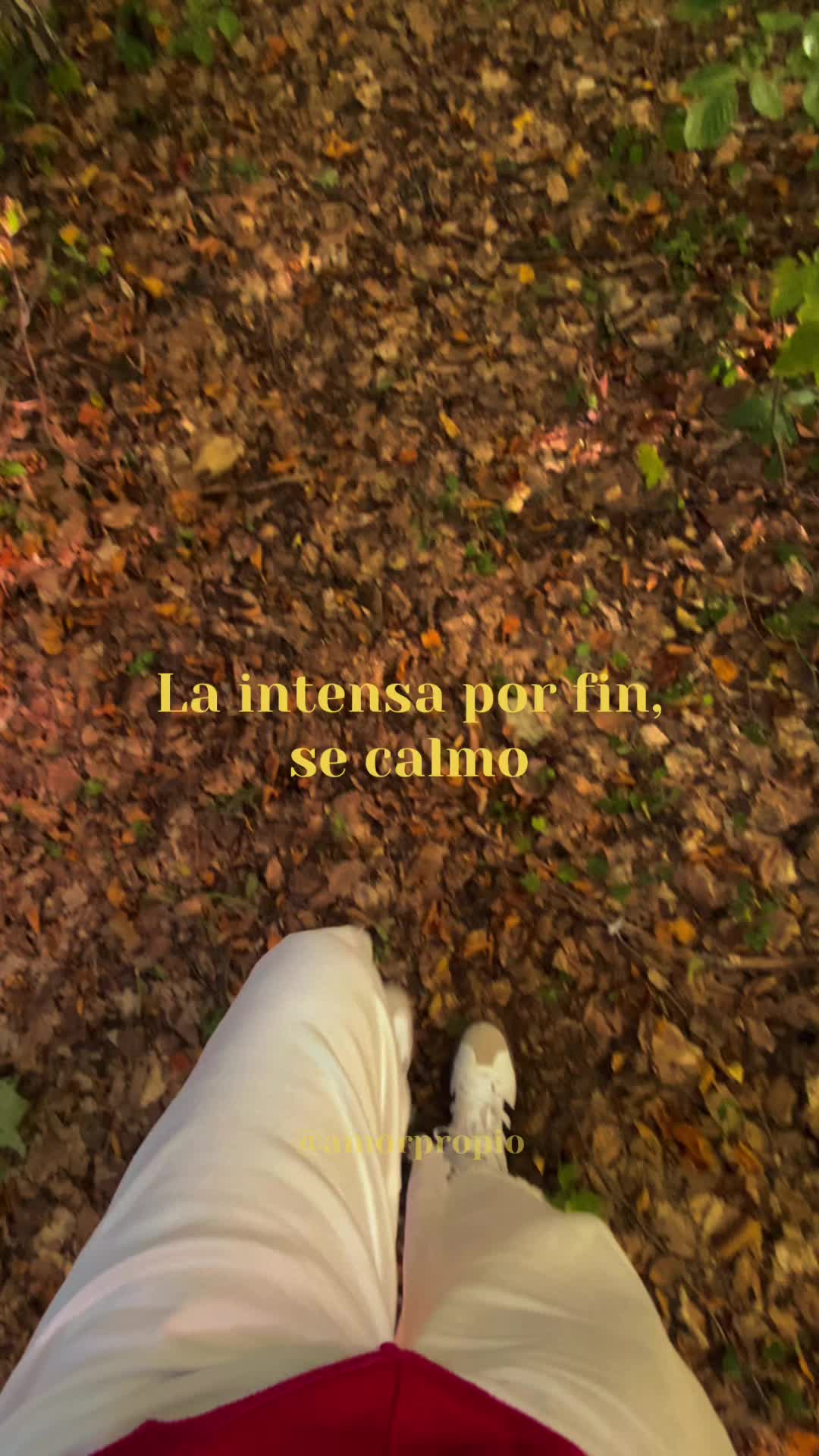 @Amor Propio