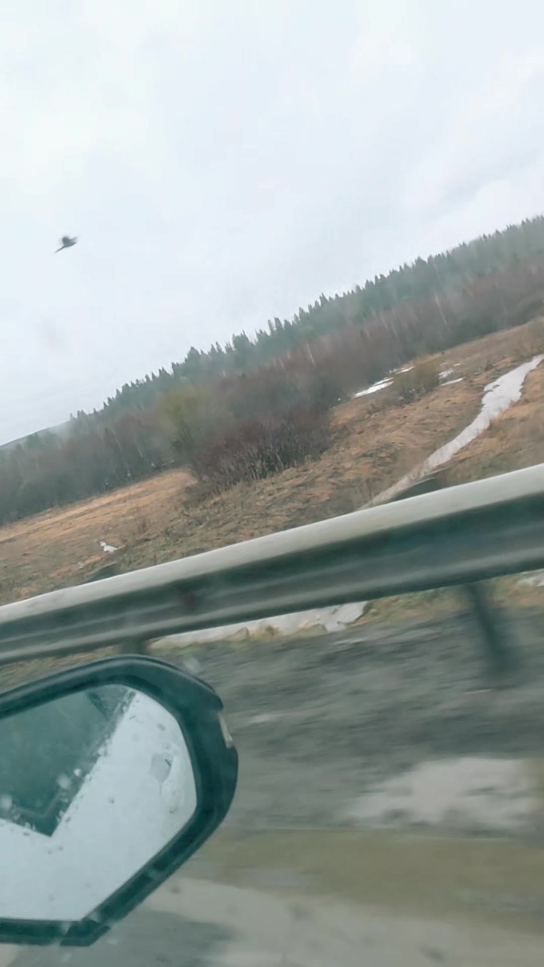 @Кудрявая