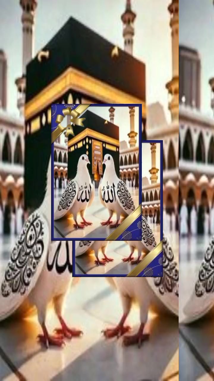 @🕌lslam🕋ki🕍 shehzadi🌃
