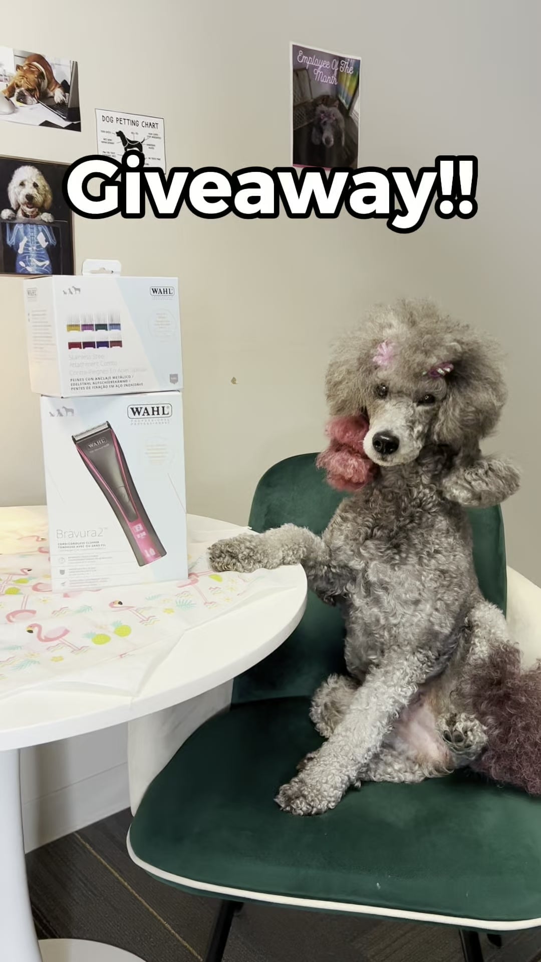 @Groomer’s Choice Pet Products