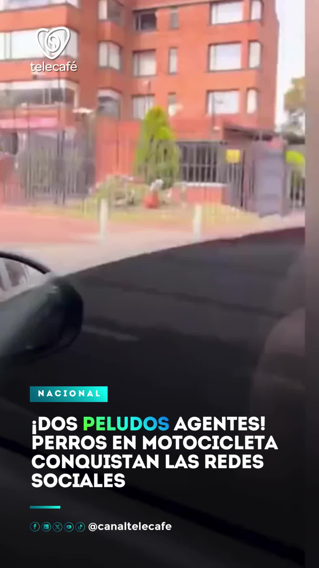 @Canal Telecafé
