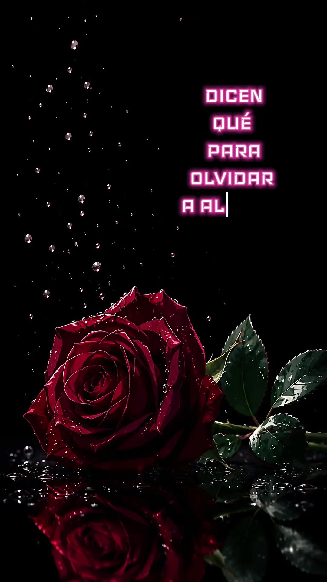 @ʅυριƚα ȥαʅαȥαɾ 🖤
